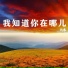 九木