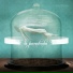 Anesthesia