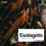 Esolagoto