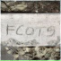 Felony College of the Streets