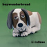 boywonderbread