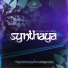 Synthaya & Synthaya and Terraspin & Terraspin