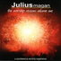 Julius Magan feat. Shane Pretorius, Mervis