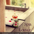Pure Massage Music