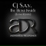 CJ S.A.Y.