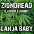 Ziondread feat. DJ Purple Rabbit