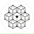 Morphology