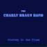 The Charly Braun Band