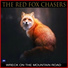 The Red Fox Chasers