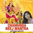 Sadhana Sargam