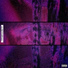 Trvxzen