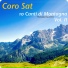 Coro Sat