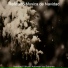 Refinado Musica de Navidad