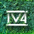 IV4