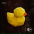Wubbaduck