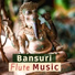 Bansuri Flute Meditation Music Masters