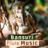 Bansuri Flute Meditation Music Masters