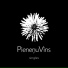 Латвия: Pieneņu Vīns
