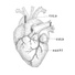 Cold Cold Heart