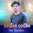 Bawer Çolak