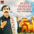 Raja Israr Hussain