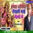 Vinay Lal Tiger
