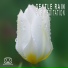 105-й ПРИКОЛ