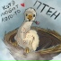Котэ любит кого-то