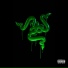 Ysl Kam