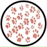 PAWSA