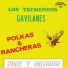 Los Tremendos Gavilanes Juan Y Salomon