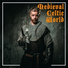 The Irish Folk