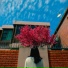 SORAE feat. Kim Hye Kwang