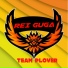 Team Plover