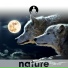 Nature's Harmony