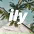 zuvuk.net