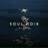 Soul Noir