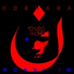 Moshi'im