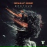 Dropgun, Natan Chaim feat. Romy Eilers