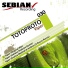 Totoproto