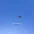 Loop Zeppelin