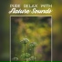 Nature Sound Collection
