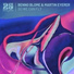 Benno Blome, Martin Eyerer feat. Kollmorgen