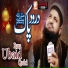 Ubaid Raza Qadri