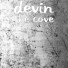 Devin