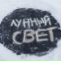 Nikita bedlam