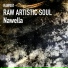 Raw Artistic Soul