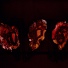 Deathspell Omega