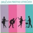 Oružjem protivu otmičara