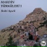 Bedri Ayseli